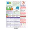 10004S Introducing Solids Tip Card - Side 1 - 2