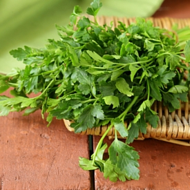 Fresh Baby - Parsley Image